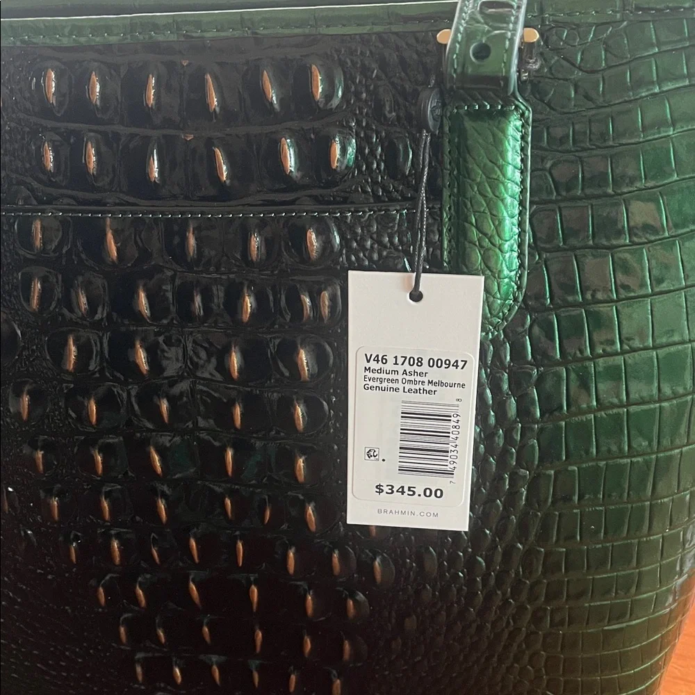 NWT Brahmin EVERGREEN Medium Asher Ombre Melbourne Tote